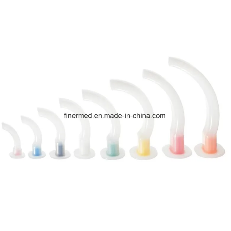 코 비강 기도 비인두관